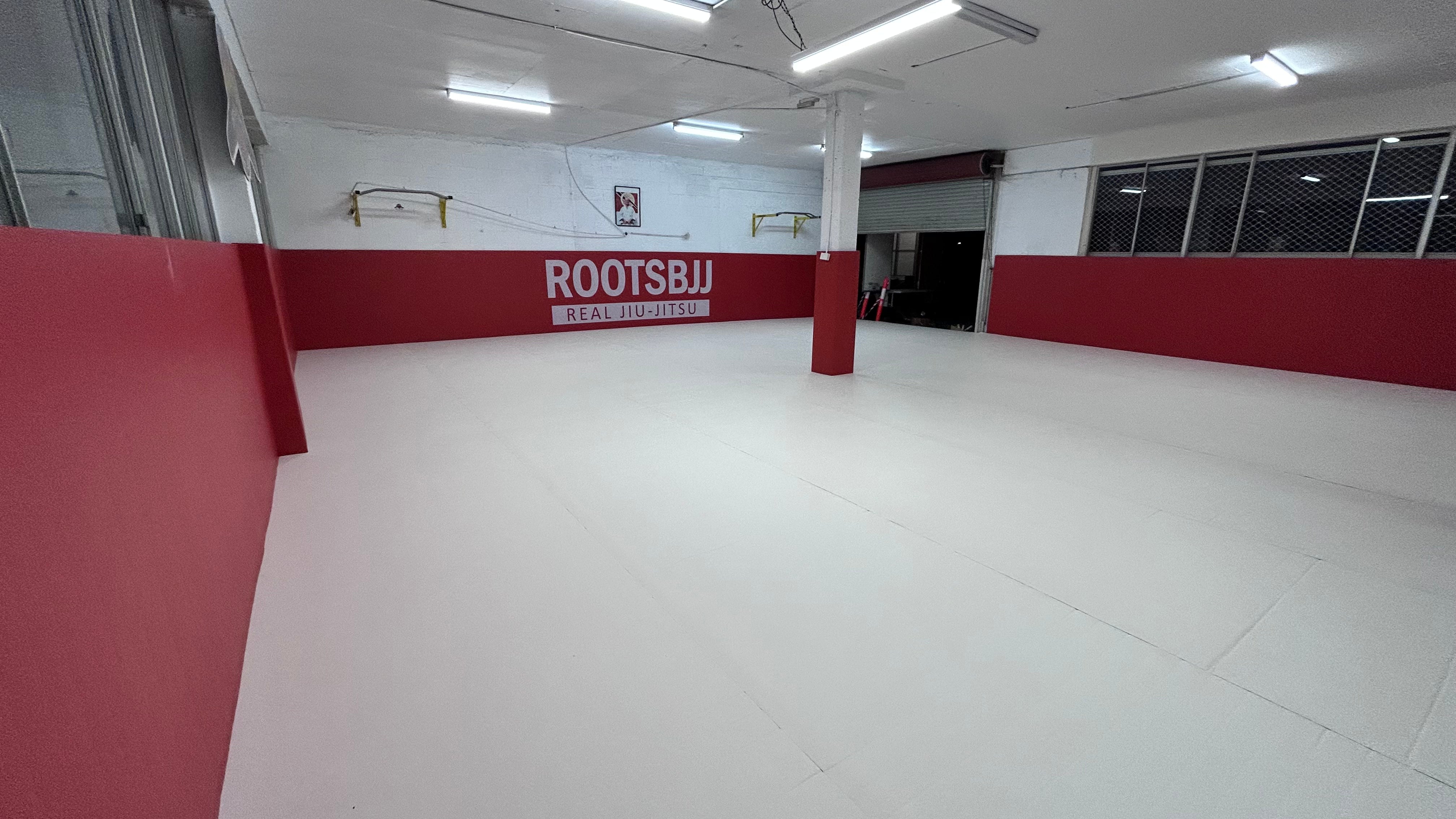 Roots Brazilian Jiu Jitsu